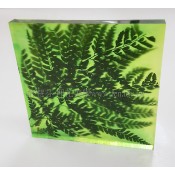 灌膠類材料 (12)