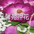 馨苑押花